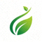 彩神(Vll)股份有限公司官方Logo - 绿色健康循环标志